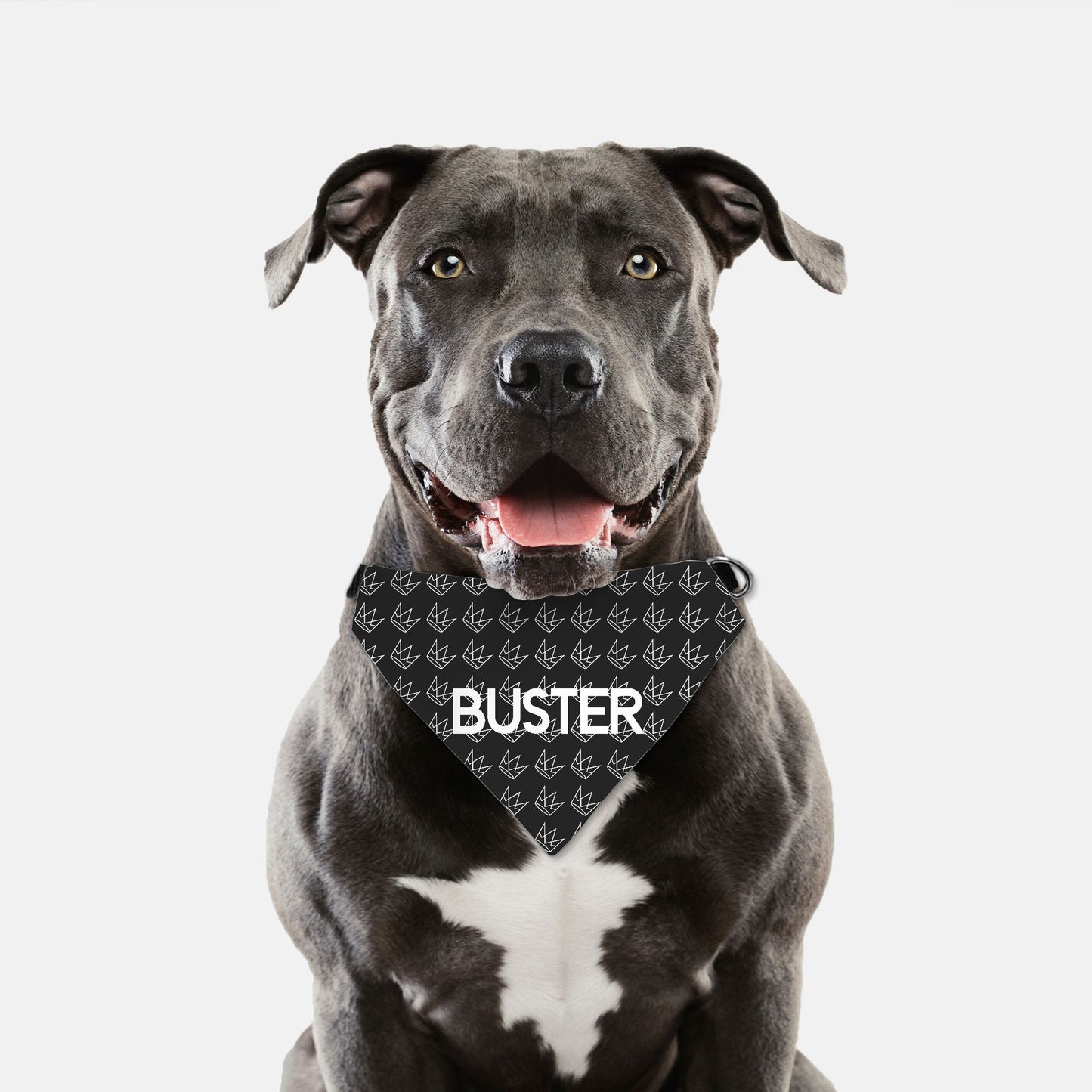 Personalized Crown Collar/Bandana
