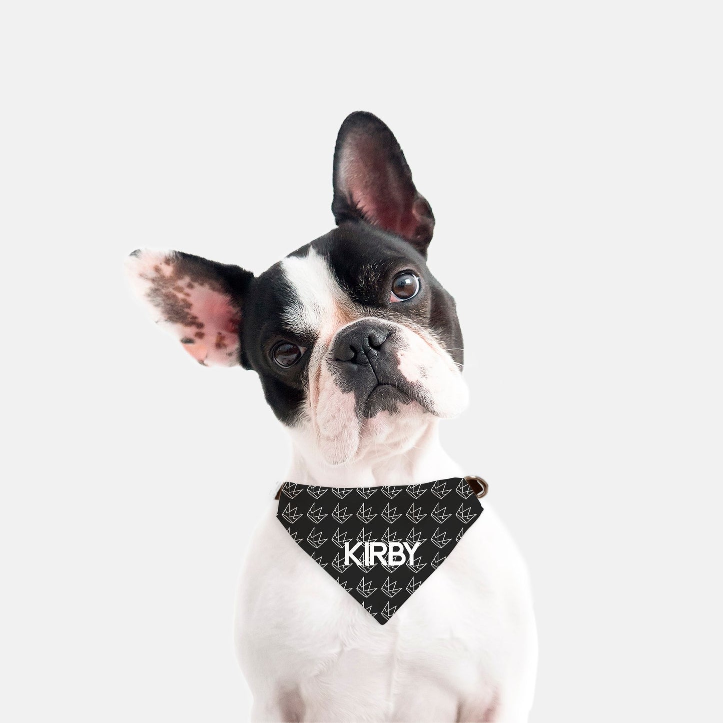 Personalized Crown Collar/Bandana