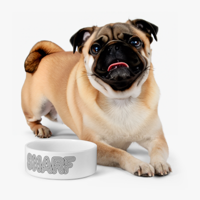 Snarf Pet Bowl