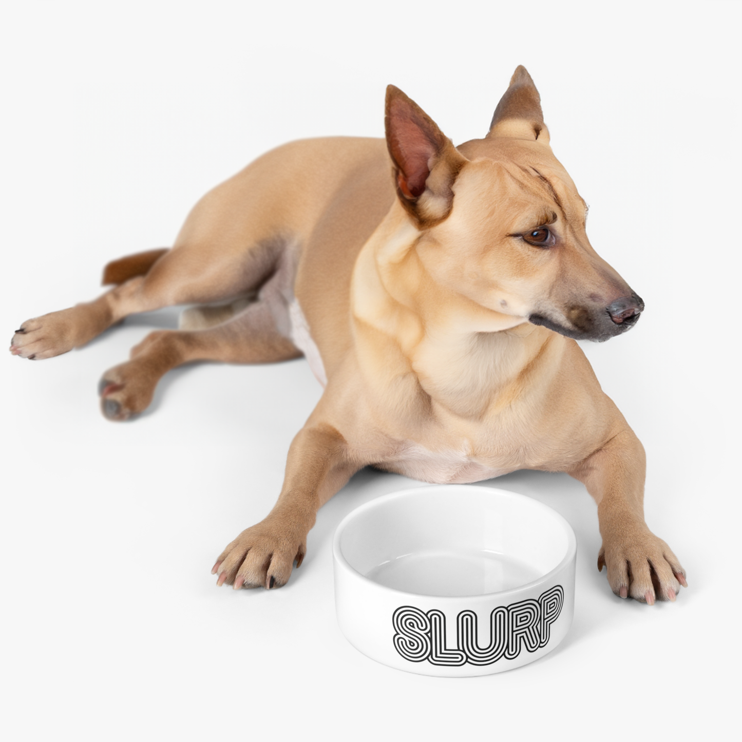 Slurp Pet Bowl