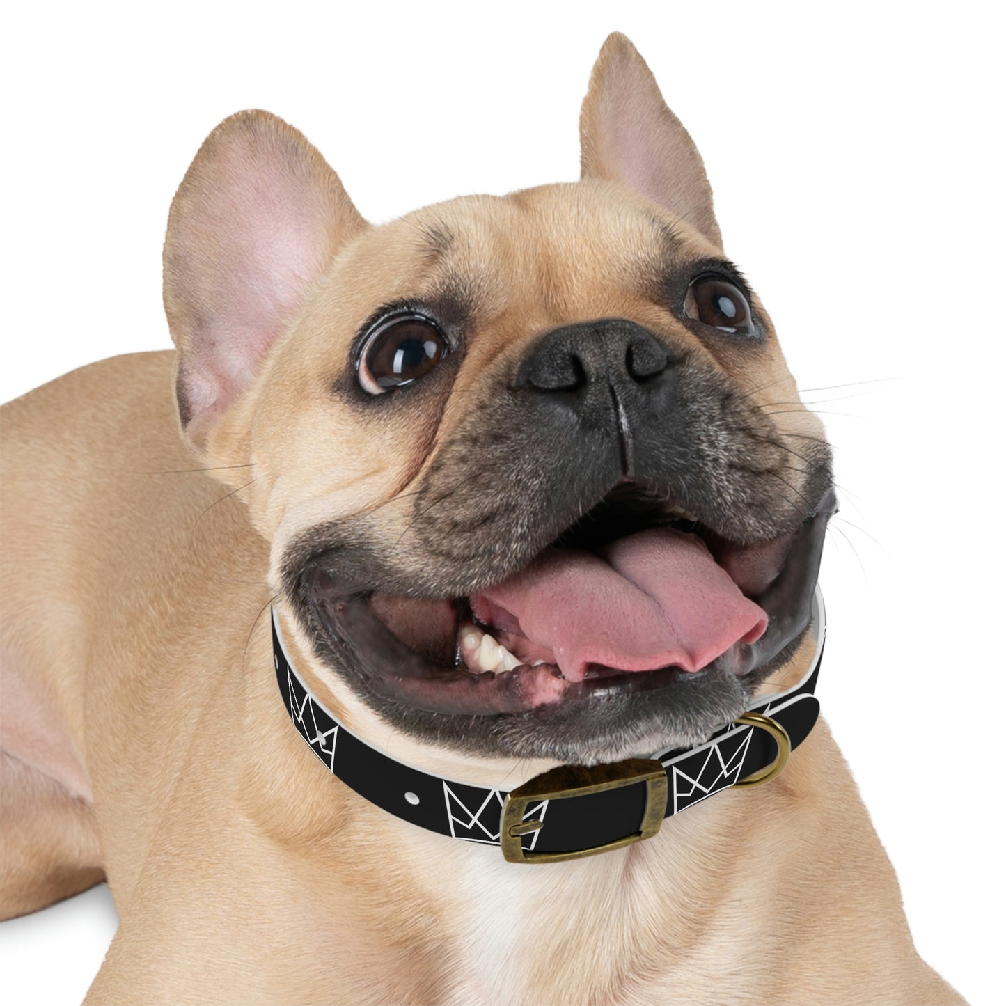 Personalized Crown Dog Collar