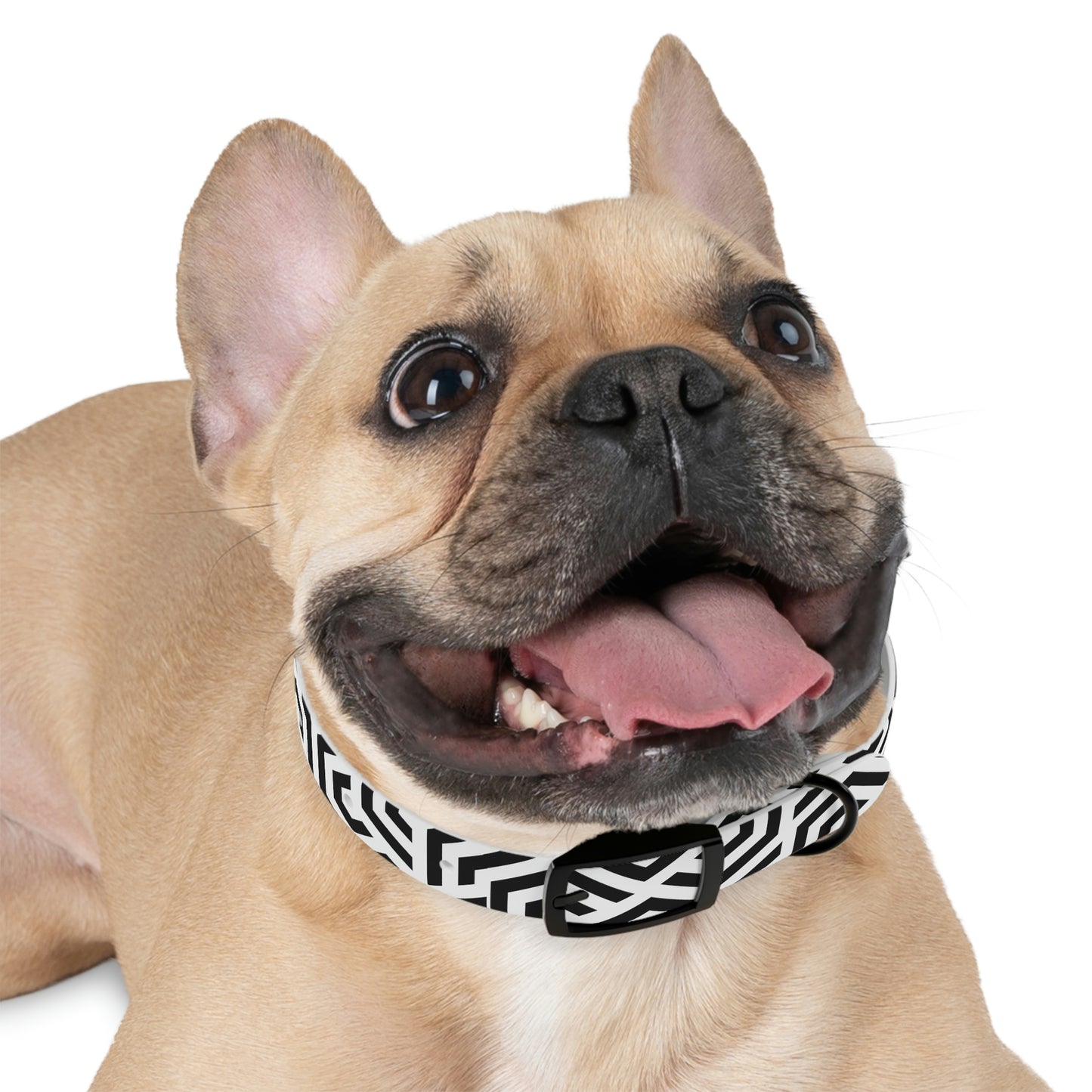 Personalized Geo-Art Dog Collar