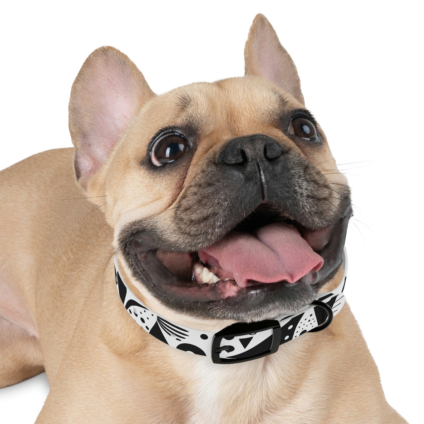 Personalized Art Dog Collar