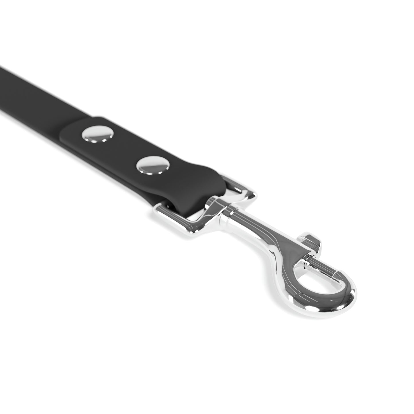 Personalized Leash