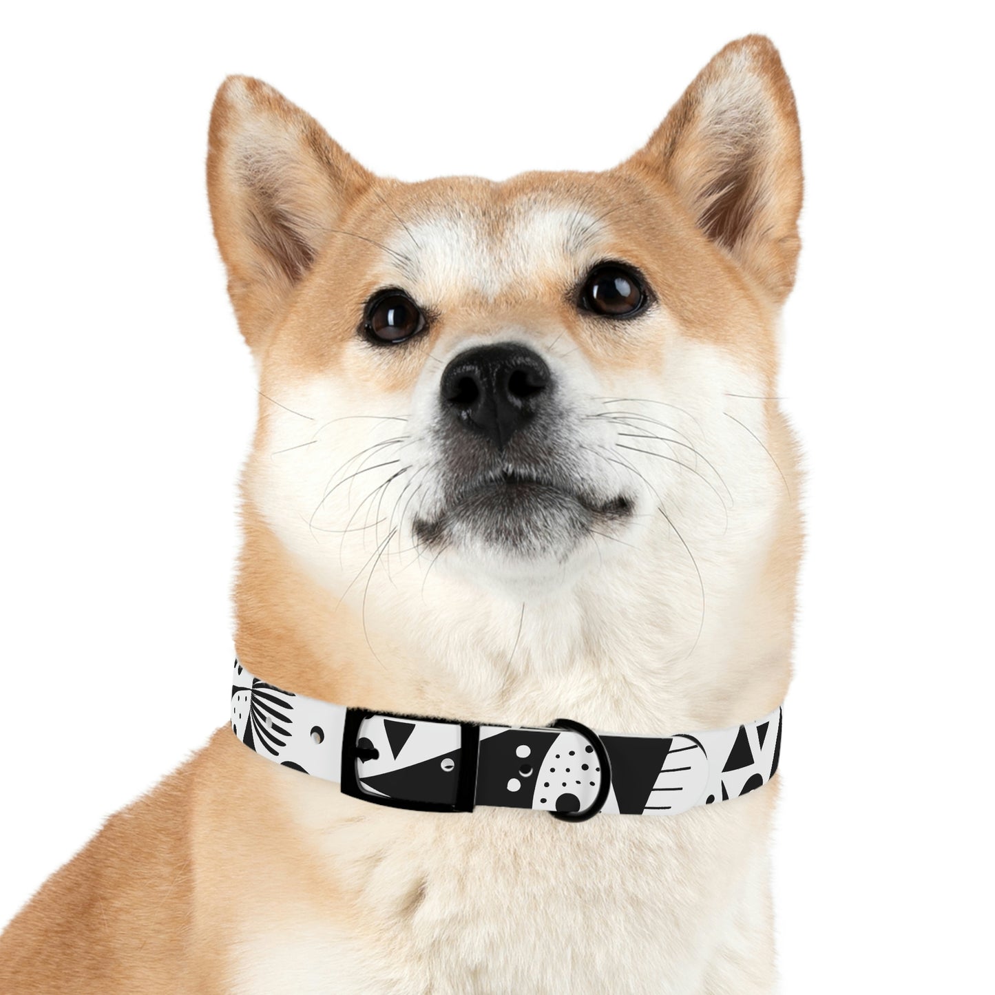 Personalized Art Dog Collar