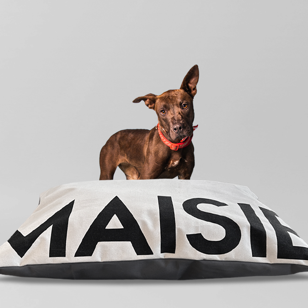 Personalized Canvas Dog Bed, Double-Sided (Natural/Grey)