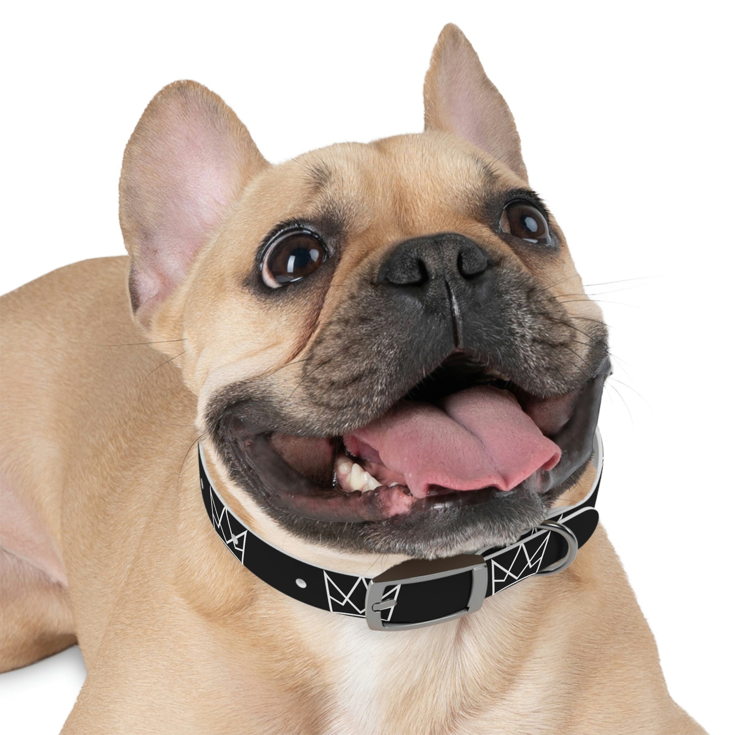 Personalized Crown Dog Collar