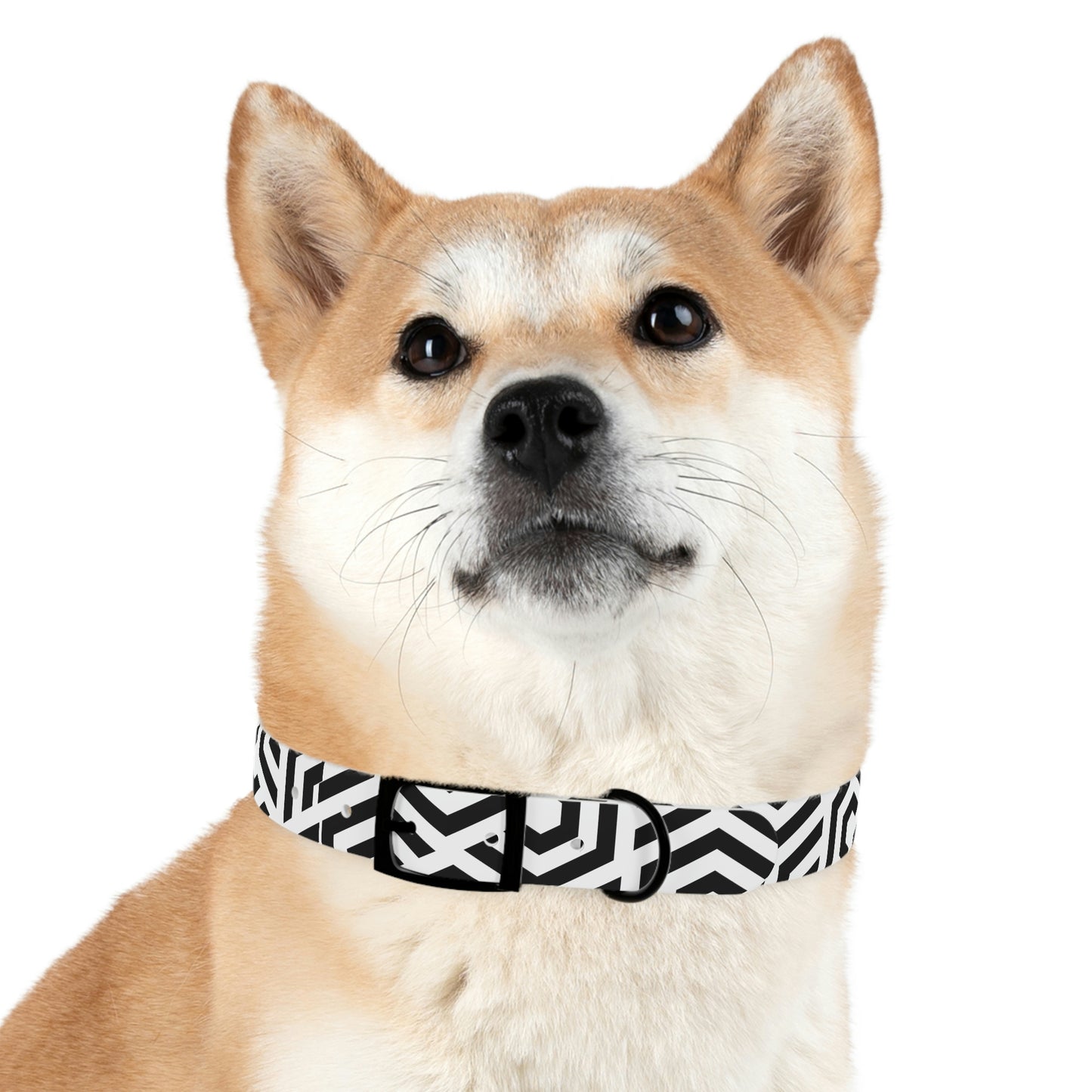 Personalized Geo-Art Dog Collar