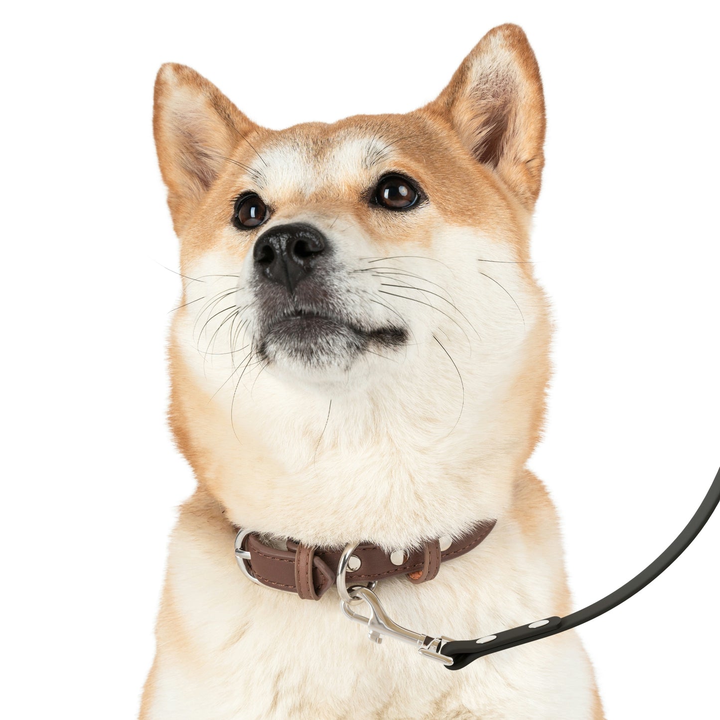 Personalized Leash