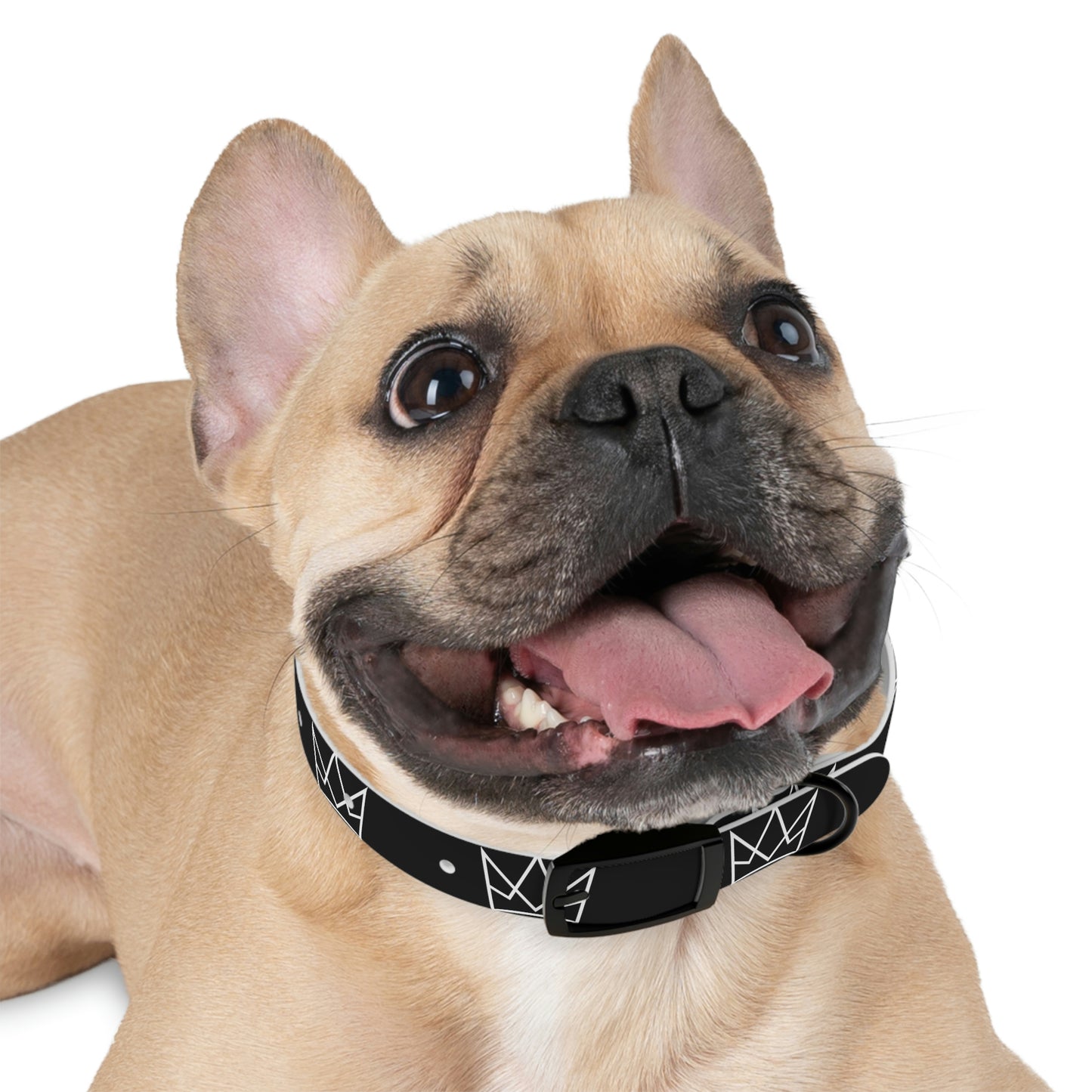 Personalized Crown Dog Collar