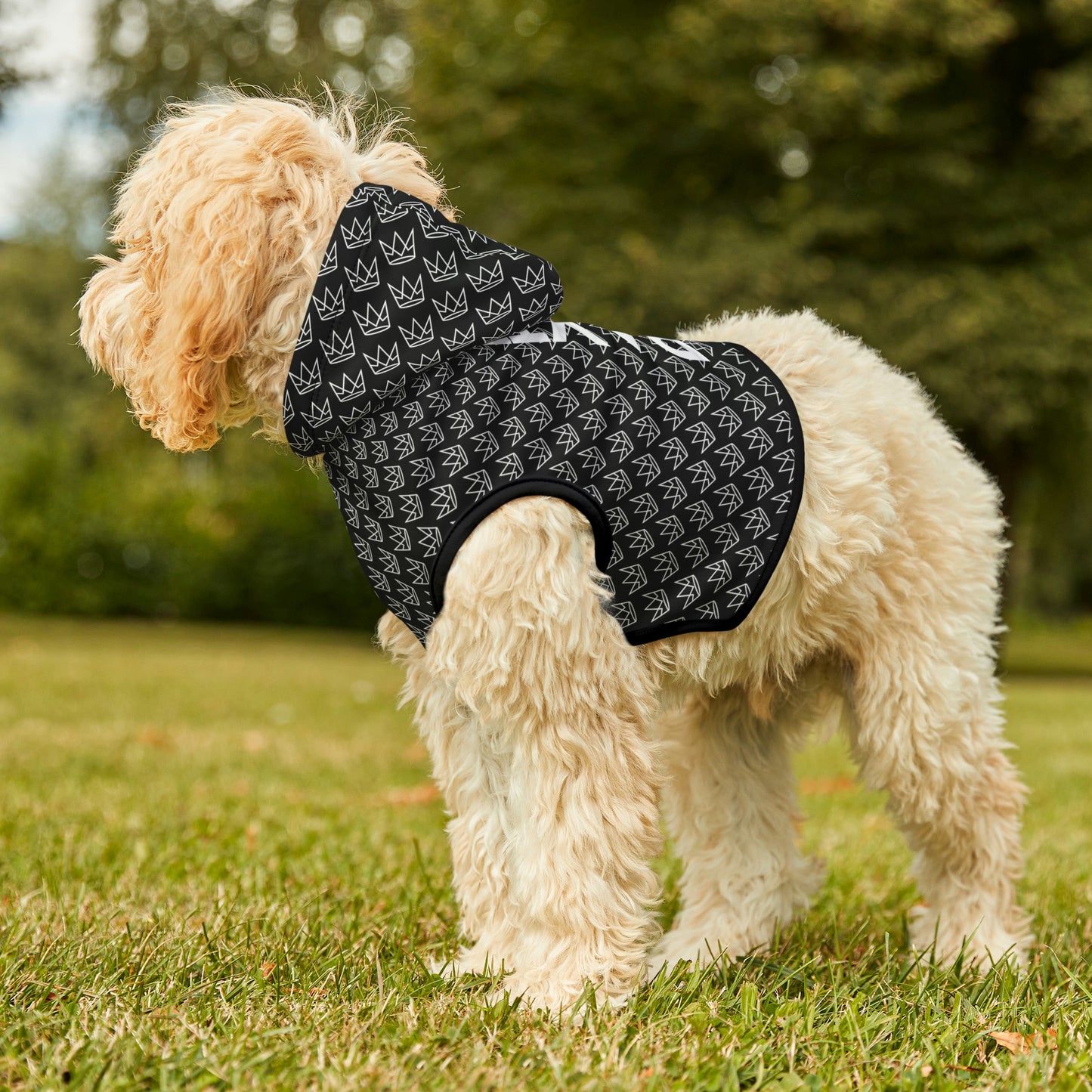 Personalized Dog Hoodie