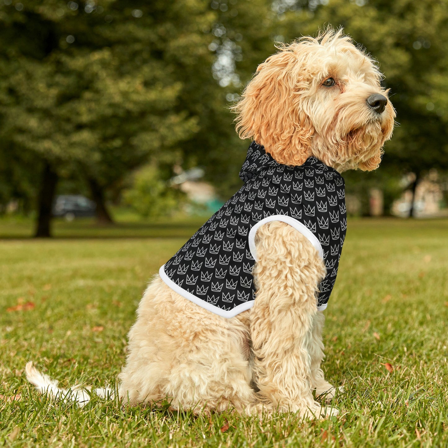 Personalized Dog Hoodie