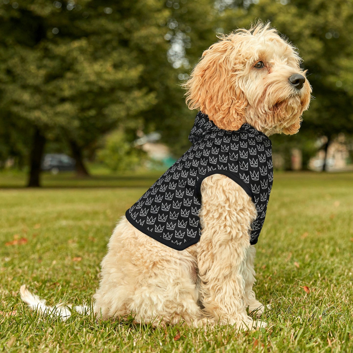 Personalized Dog Hoodie