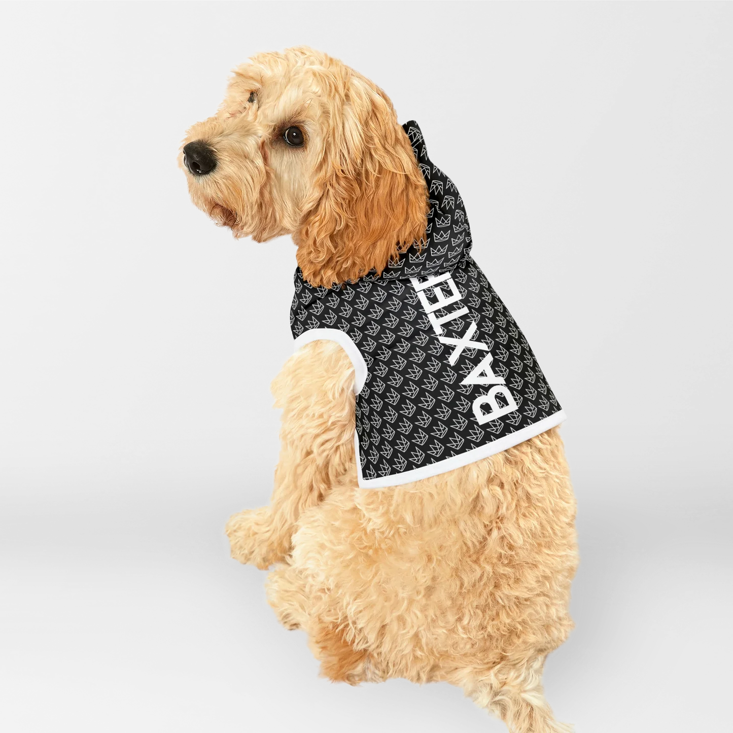Personalized Dog Hoodie