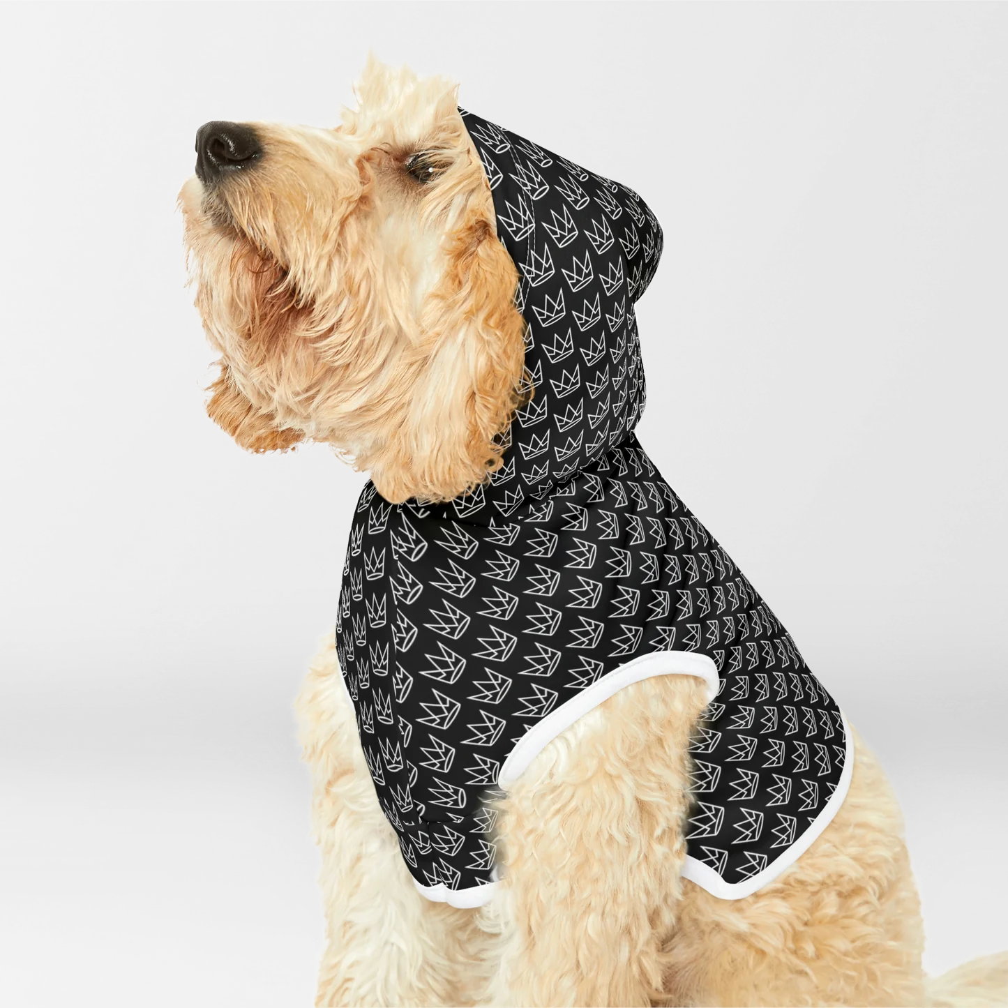 Personalized Dog Hoodie