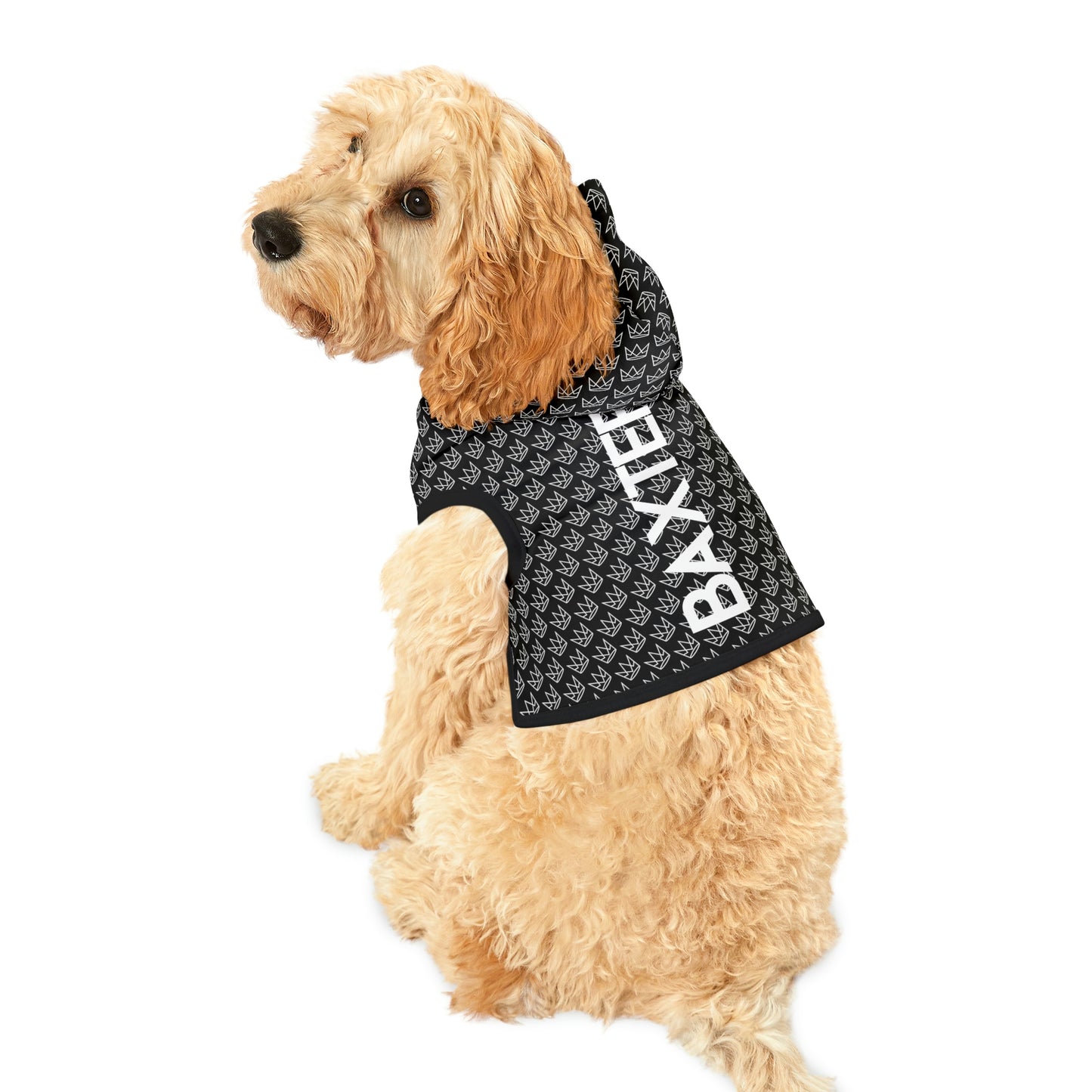 Personalized Dog Hoodie