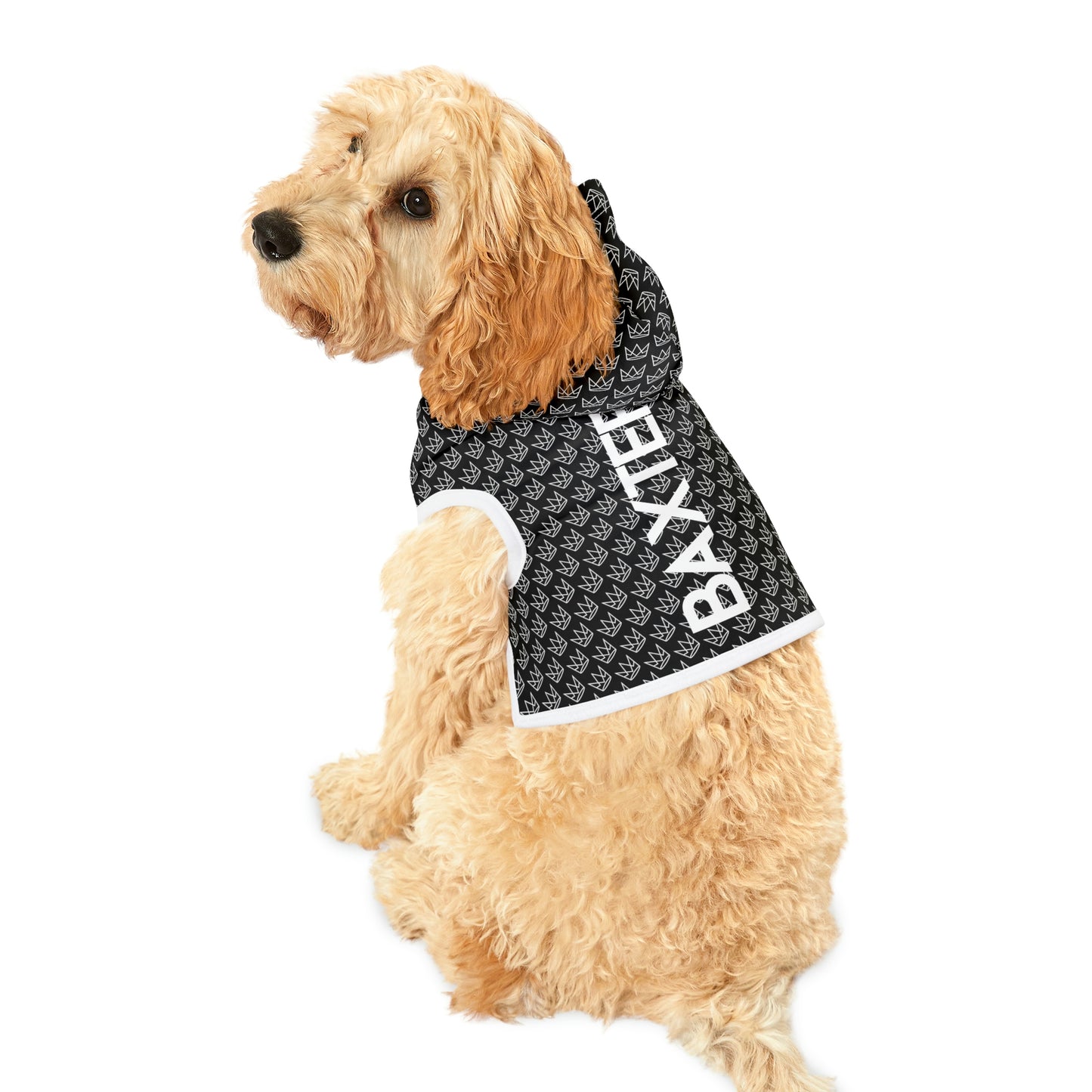 Personalized Dog Hoodie