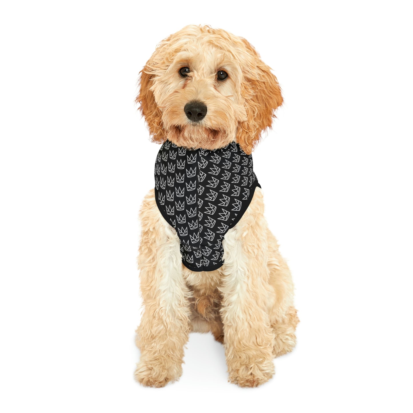 Personalized Dog Hoodie
