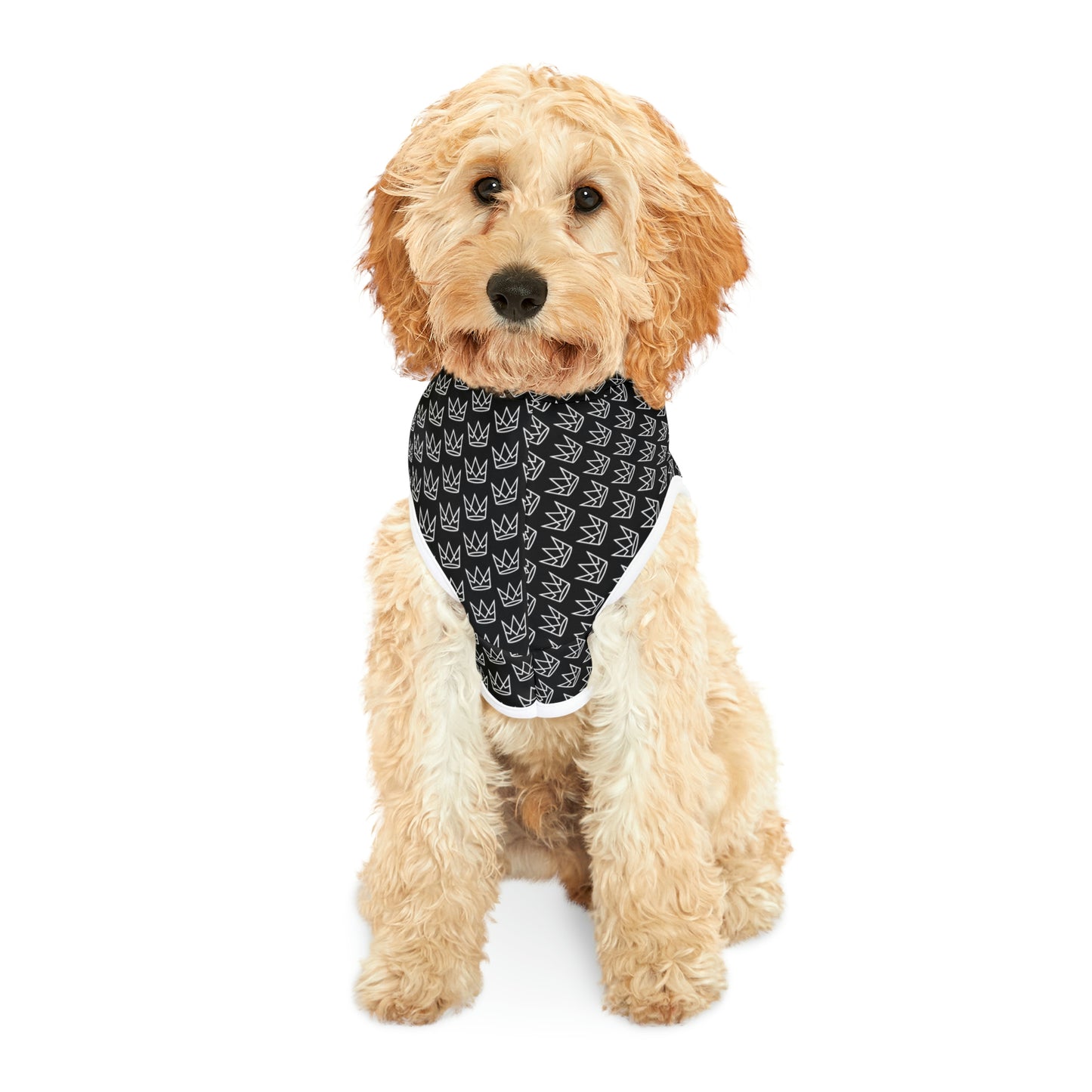 Personalized Dog Hoodie
