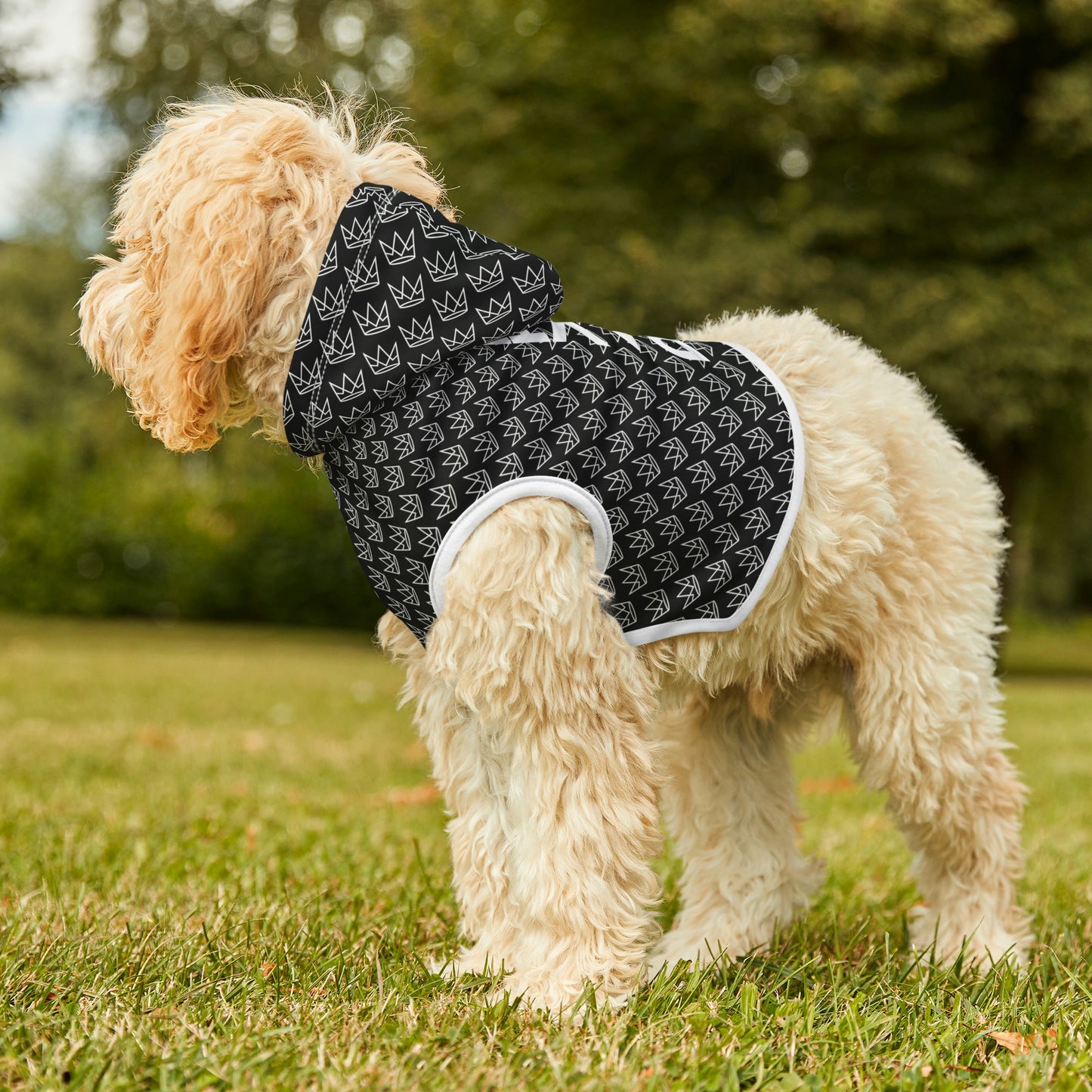 Personalized Dog Hoodie